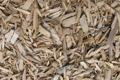 biomass boilers Burmantofts